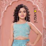 Indo-Western Sharara Set, Sky Blue, Premium Silk